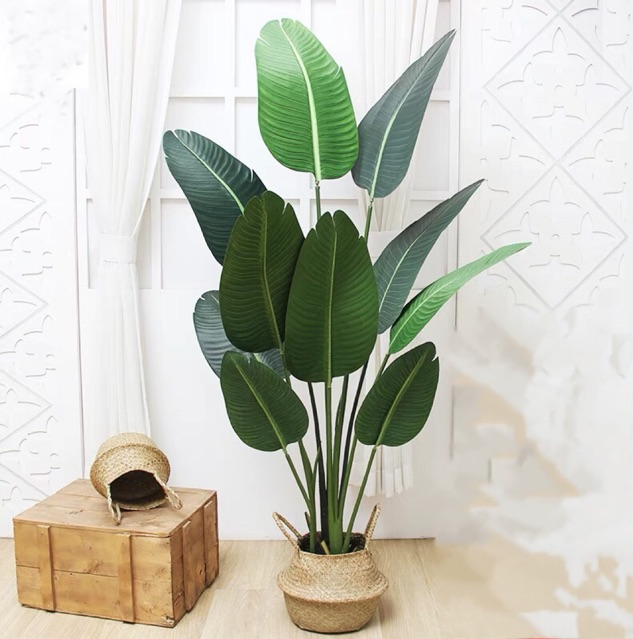 Изкуствено бананово дърво (Ravenala) 160cm - Image 2