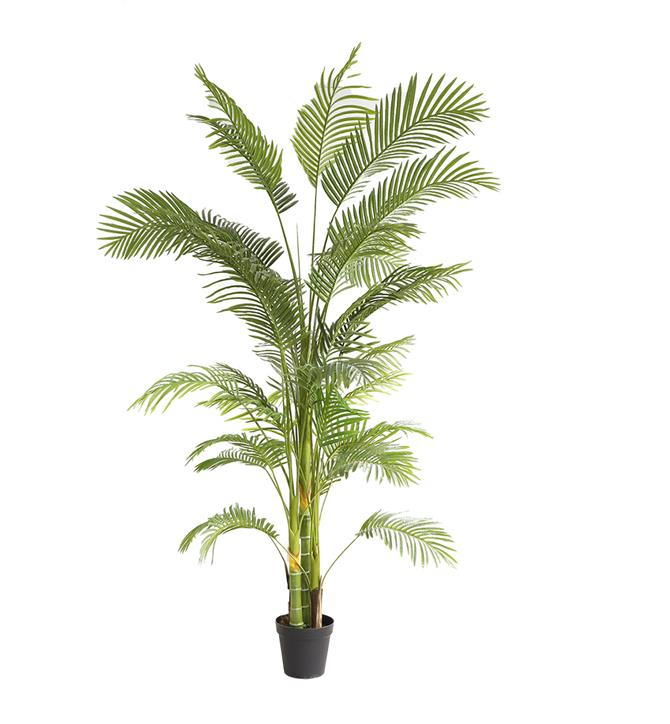 Изкуствена палма 240cm.