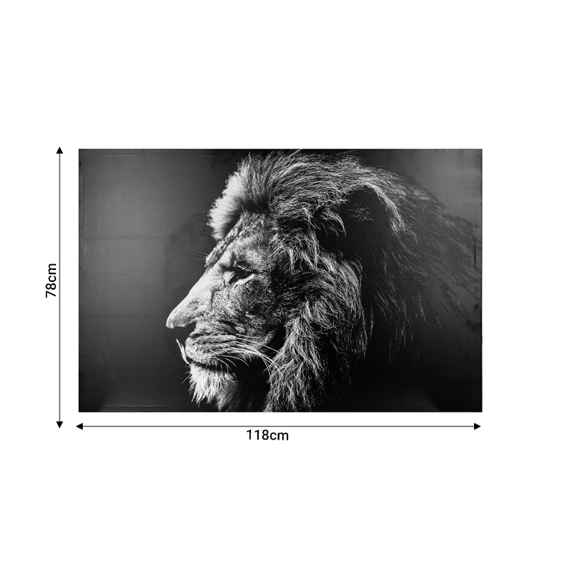 Картина на платно с рамка Lionner 118x3x78cm - Image 2