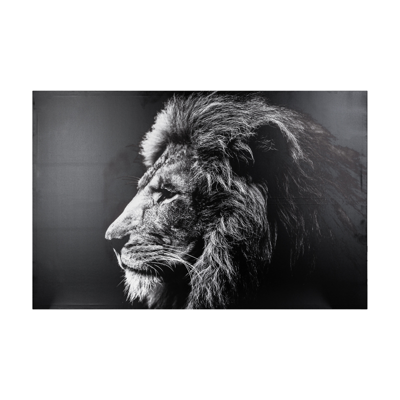 Картина на платно с рамка Lionner 118x3x78cm