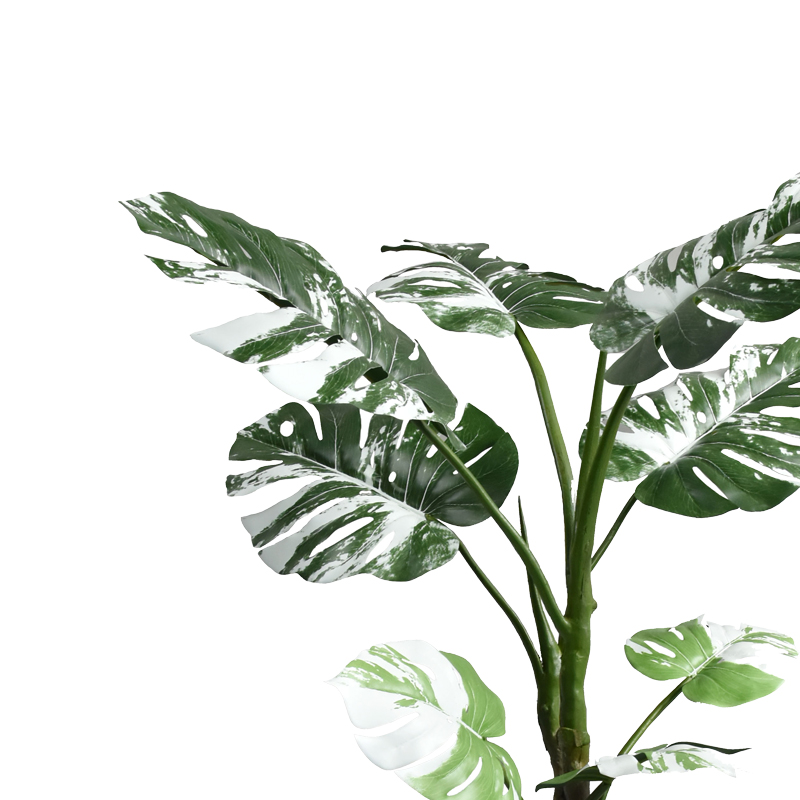 Декоративно растение Monstera II в саксия 132cm - Image 2