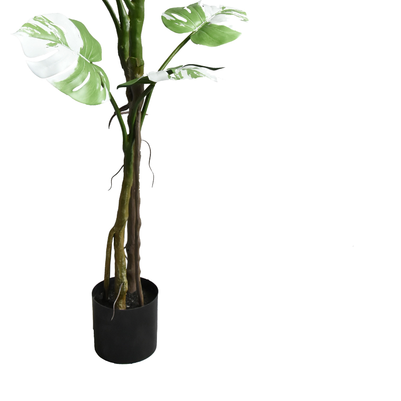 Декоративно растение Monstera II в саксия 132cm - Image 3