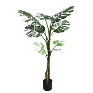 Декоративно растение Monstera II в саксия 132cm