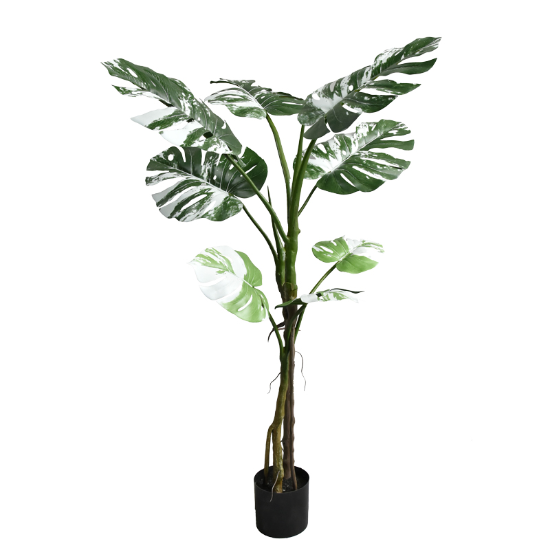 Декоративно растение Monstera II в саксия 132cm