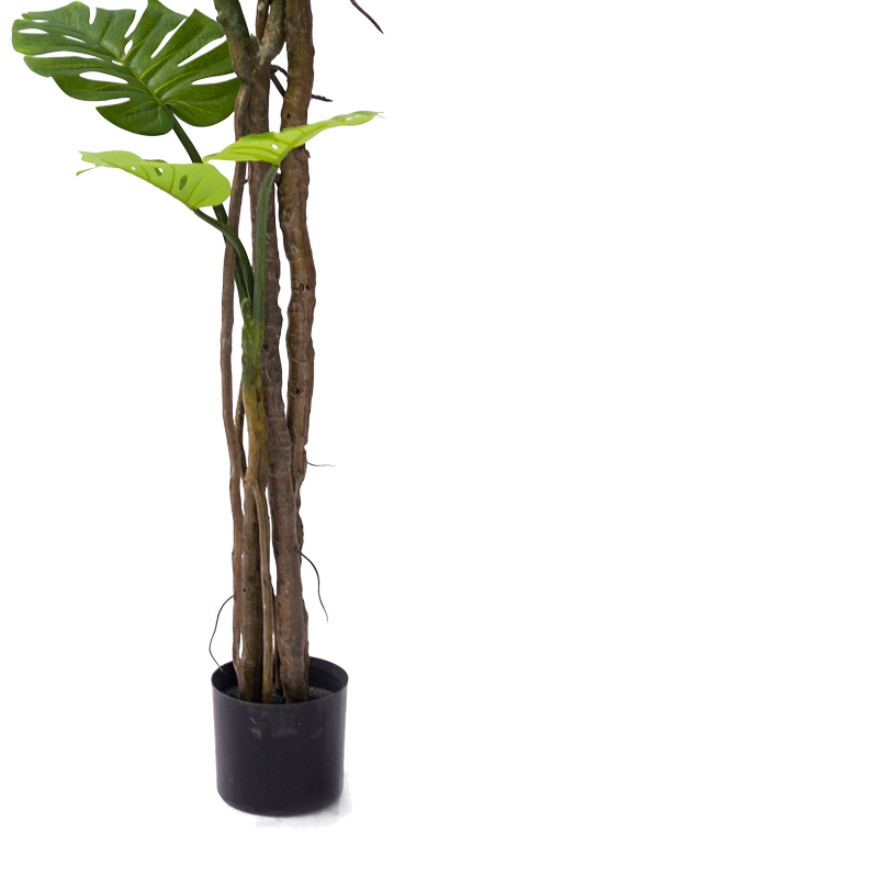 Декоративно саксийно дърво Monstera III 180cm - Image 3
