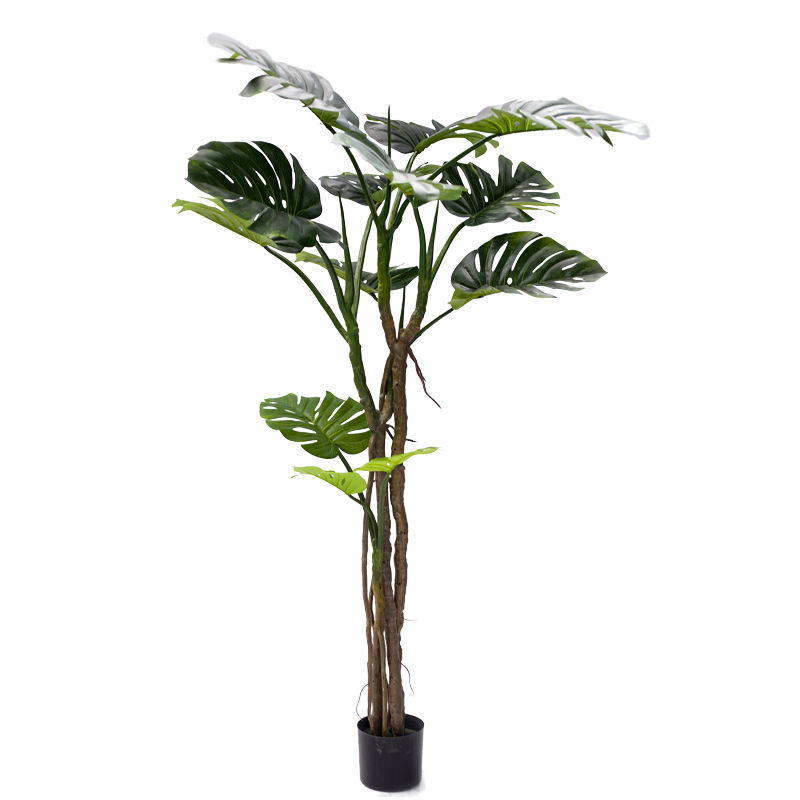 Декоративно саксийно дърво Monstera III 180cm