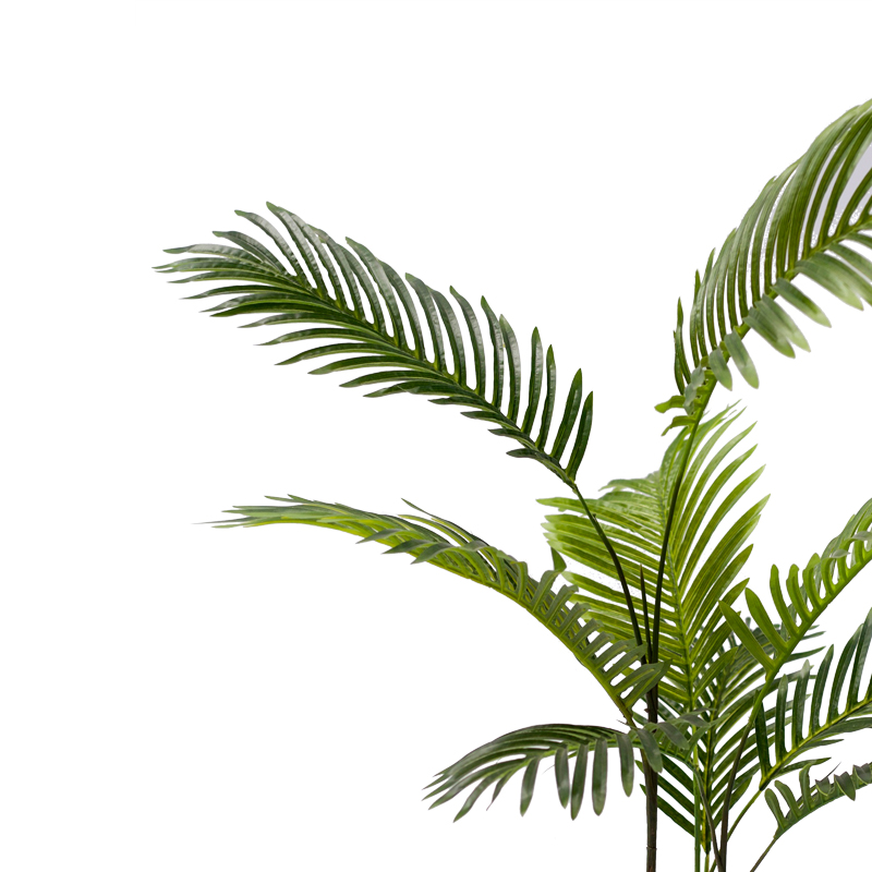Декоративно растение Areca в саксия 80cm - Image 2