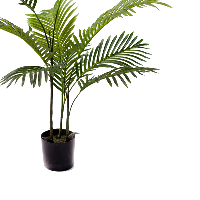 Декоративно растение Areca в саксия 80cm - Image 3