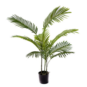 Декоративно растение Areca в саксия 80cm