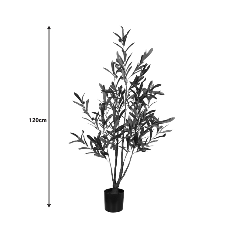 Декоративно растение Маслиново дърво в саксия 120cm - Image 4