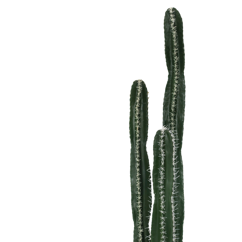 Саксийно декоративно растение Cactus II 155cm - Image 2