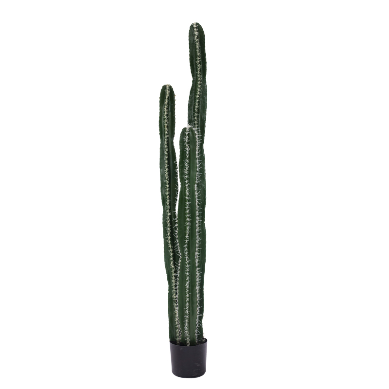 Саксийно декоративно растение Cactus II 155cm