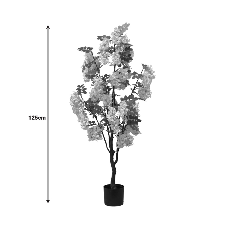 Декоративно растение Бобови цветя в саксия 125cm - Image 4