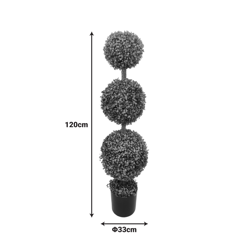 Декоративно растение Bolla III в зелена саксия Φ33x120см - Image 2