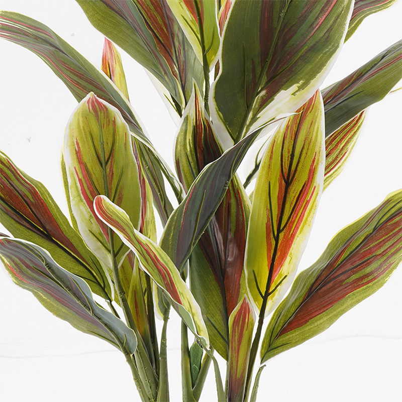 Декоративно растение в саксия Cycas зелено D55x80см - Image 2