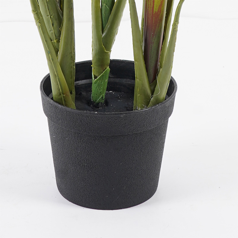 Декоративно растение в саксия Cycas зелено D55x80см - Image 3