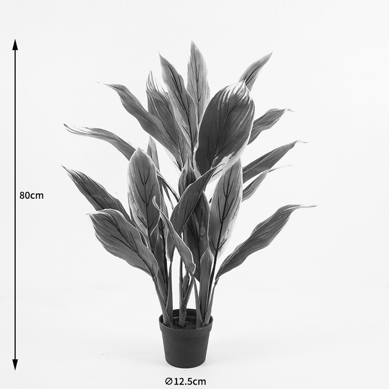 Декоративно растение в саксия Cycas зелено D55x80см - Image 4