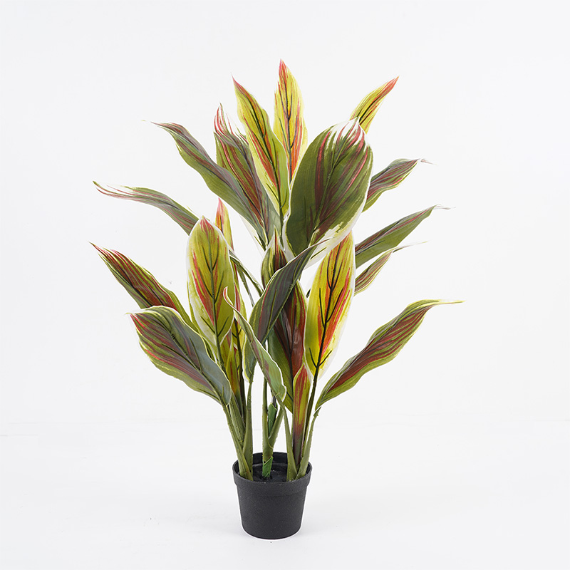Декоративно растение в саксия Cycas зелено D55x80см