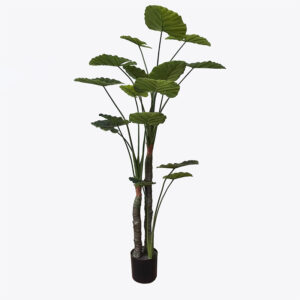 Декоративно растение в саксия Taro Plant зелено D90x180см