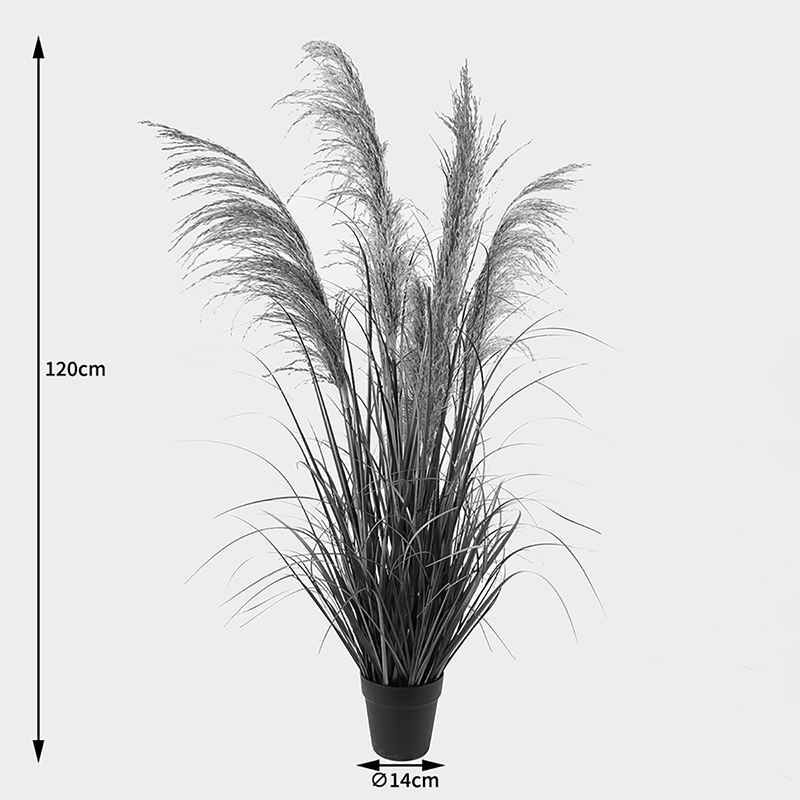 Декоративно растение в саксия Хортензия бяла D35x50см - Image 4
