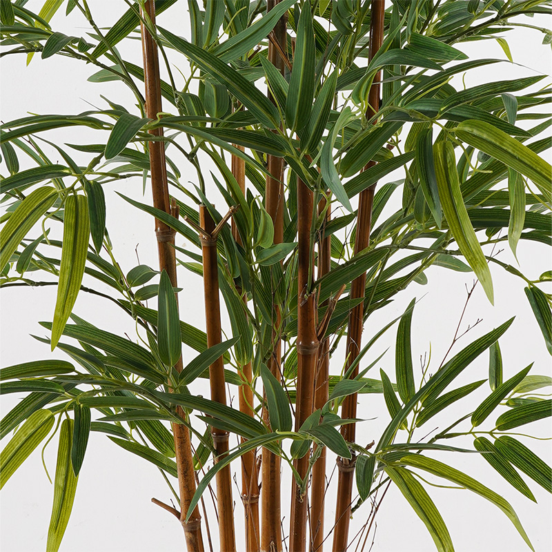 Декоративно растение в саксия Rhapis Palm зелено D80x180см - Image 2