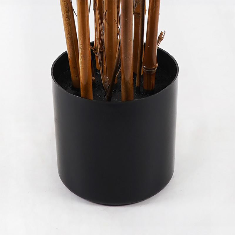 Декоративно растение в саксия Rhapis Palm зелено D80x180см - Image 3