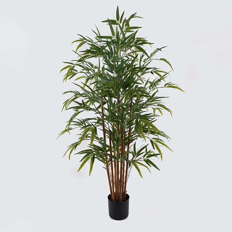 Декоративно растение в саксия Rhapis Palm зелено D80x180см