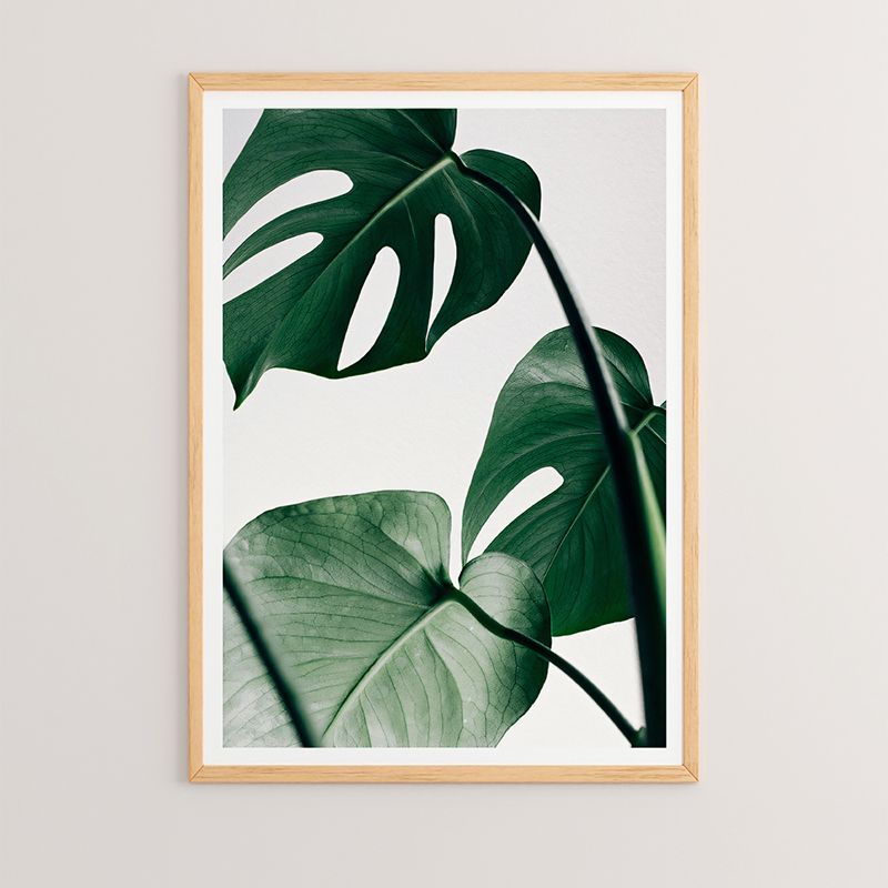 Картина с дигитален печат и рамка 33x1.5x48см